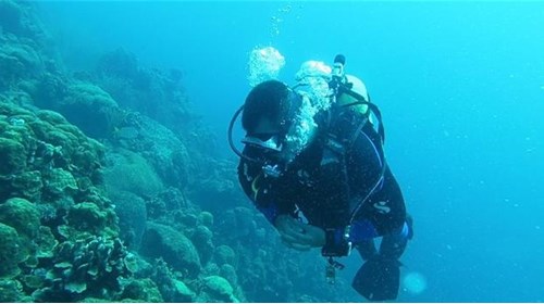 Scuba diving in Bonaire!