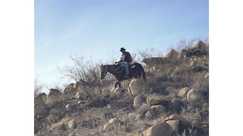 Riding where Western legends lived, near Tombstone