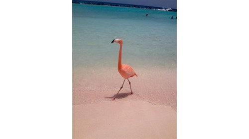 RENISSANCE ISLAND ARUBA 