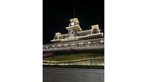Disney Magic!