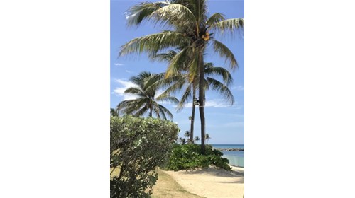 Destination Wedding and Honeymoon Expert