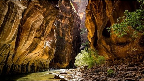 Zion National Park Travel Agent Advisor