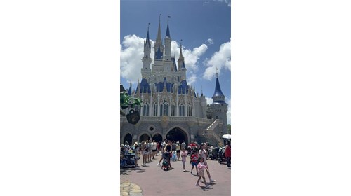 Why I Love Planning Disney Vacations