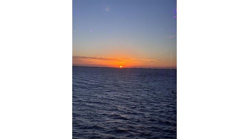 CRUCEROS 