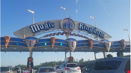 Specializing in Walt Disney World