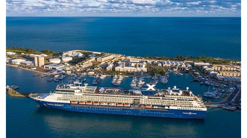 Family Cruise Specialist