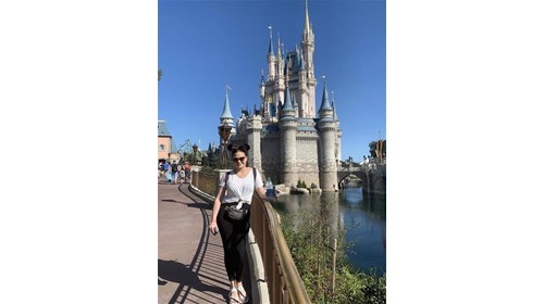 Customized Disney Vacation Planning