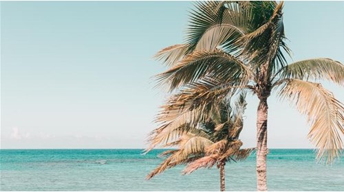 Mexico Travel Agent Specialist