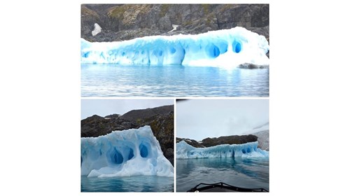 Expedition Cruise Expert