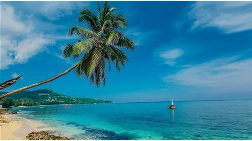 Barbados Travel Agent Specialist 