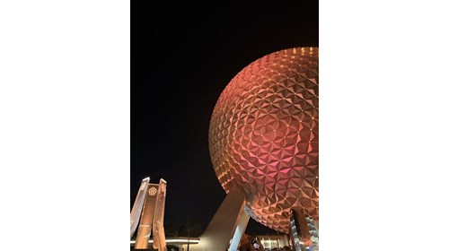 Disney Parks Planning