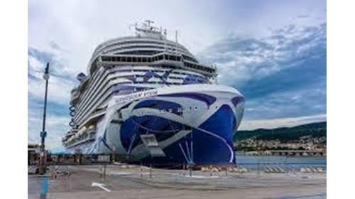 Cruise Vacation Specialist