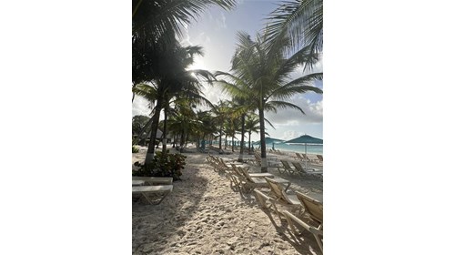 Beach at Sandals Royal Barbados