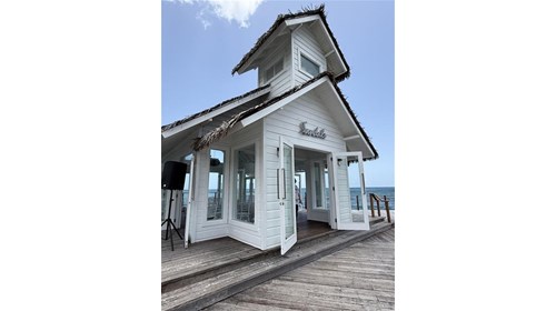 Caribbean Destination Wedding Specialist