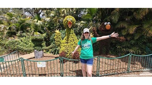 Tampa Area Experiences, Tailored for You
