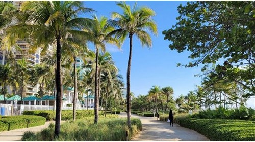 Miami Escape & Destination Celebration Specialist