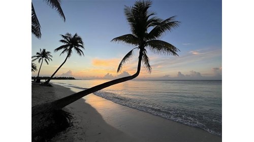 Beach Vacation Specialist