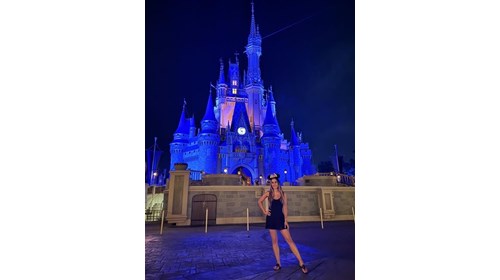 DISNEY DESTINATION EXPERT