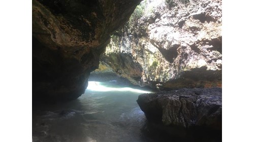 Bali: Nature and Nurture