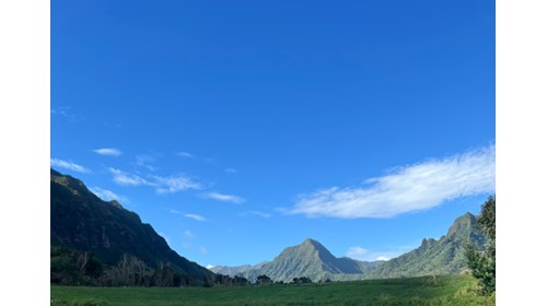 Oahu Insider