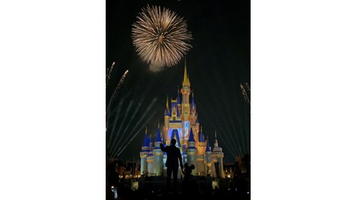 Disney Expert