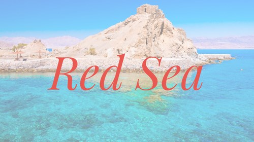 Red Sea Luxury Cruise Travel Agent Expert