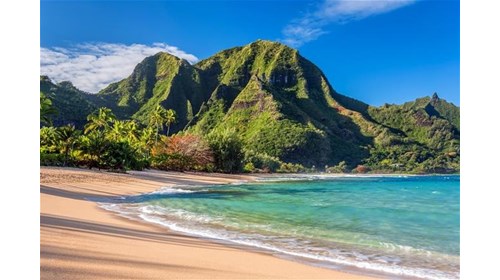 Planning Expertise for Hawaii's Island Adventures