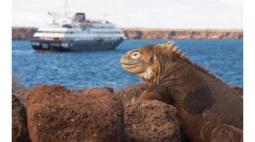Expedition Cruising is an Adventure