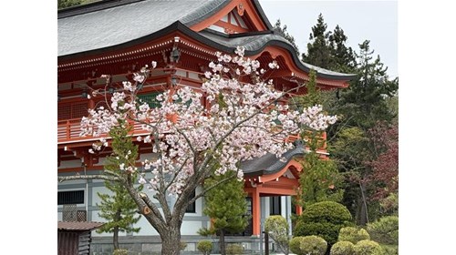 East Asia Insider