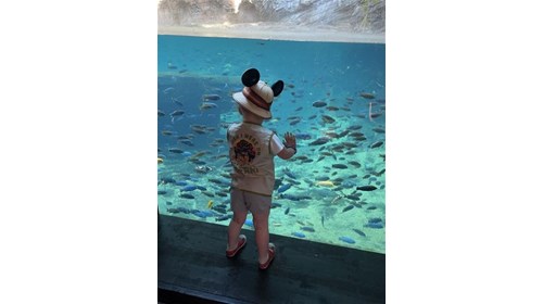 Travelling with Autism