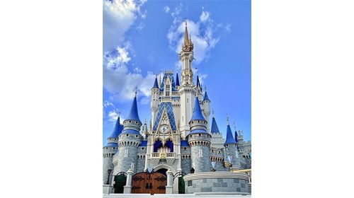 Walt Disney World Vacation Specialist