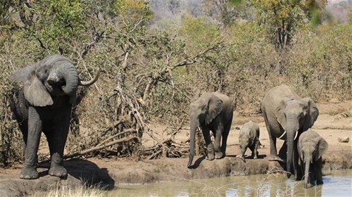 Abercrombie & Kent Luxury Tours