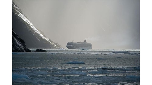 Holland America Line Specialist