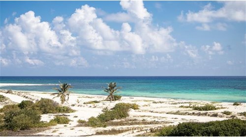 Cozumel Travel Agent Specialist 