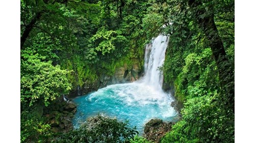 Jungle & Volcano Retreats