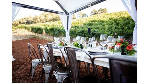 Food, Wine & Cultural Journeys