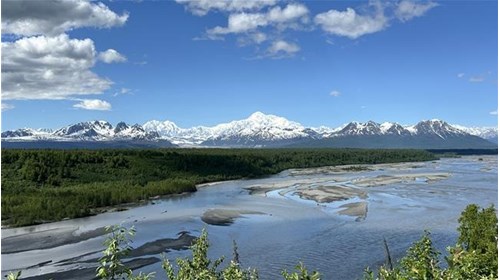 Alaska Cruise and Vacation Specialist