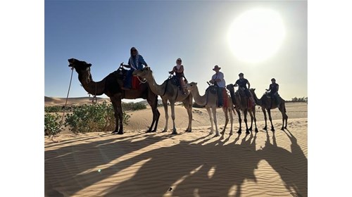 SPECIALIST IN AFRICA, GALAPAGOS & EUROPEAN TRAVEL
