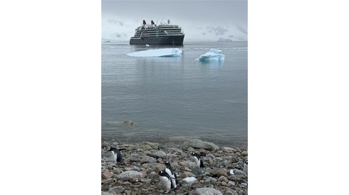 LUXURY, EXPEDITION & FAMILY CRUISE SPECIALIST