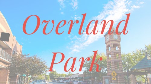 Overland Park Travel Agent Expert