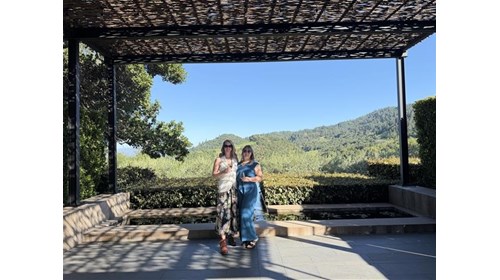 Napa, Napa