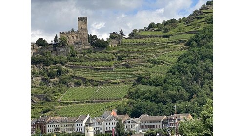 Rhine River
