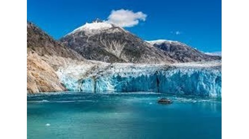 Alaska Cruise & Land Vacation Specialist