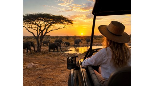 Safari Views, Luxury Feel.