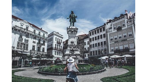 Value-Focused Travel Specialist