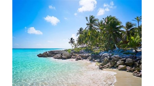 Ready to start planning your next getaway?