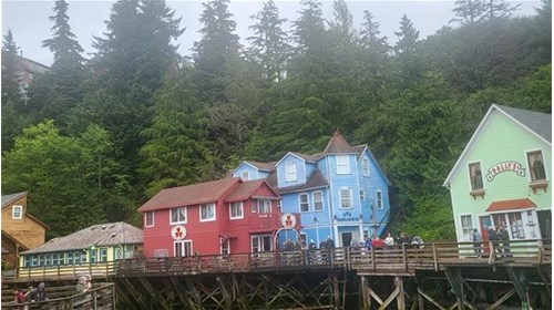 Alaska and Alaskan Cruise Specialist