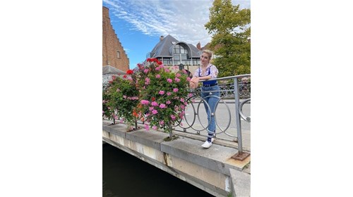 Bridge in Brugge
