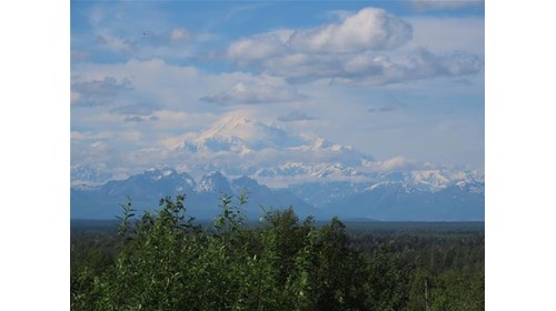 Alaska Cruise Tour Travel Specialist