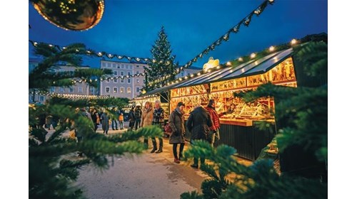 Christmas Market River Cruise Expert